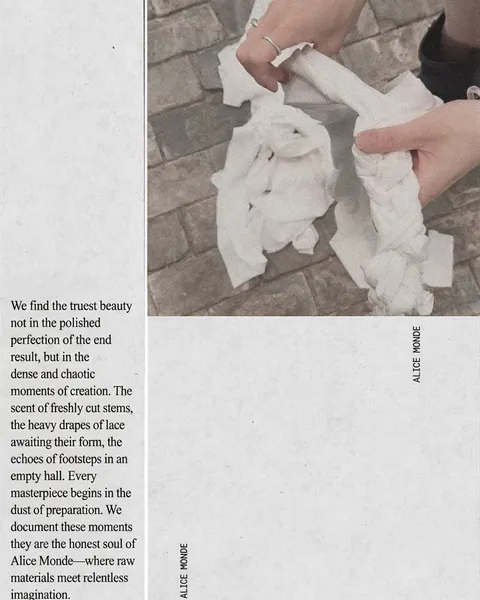 앨리스몽드 남산점 인스타그램 사진